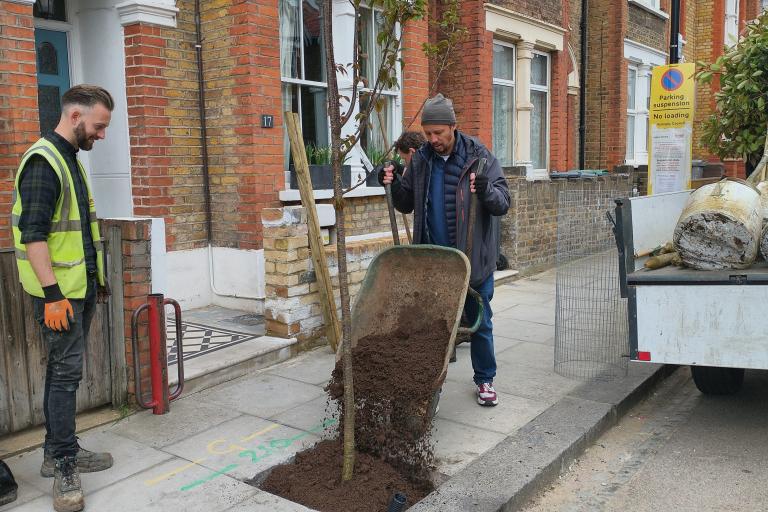 Two men planting a tree